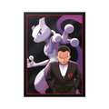 Pokémon - Destined Rivals Sleeves